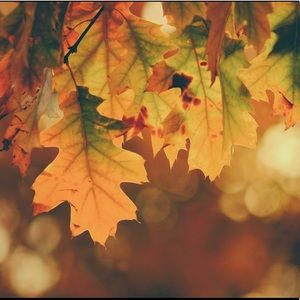 Meet your Posher, Rey